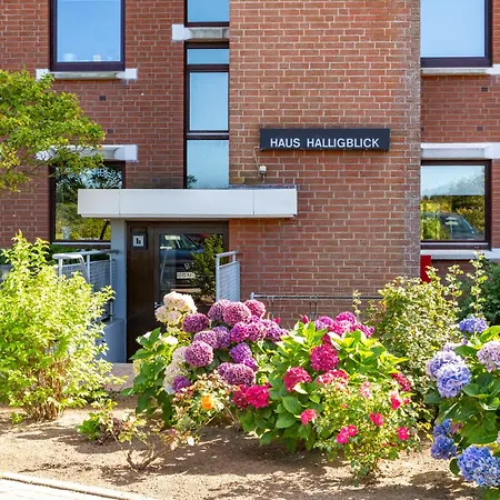 Haus Halligblick Whg 4 * Wyk auf Föhr